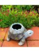 13inch Turtle Planter