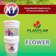 PlantLabofCanada Flower 20KG